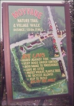 Trail map
